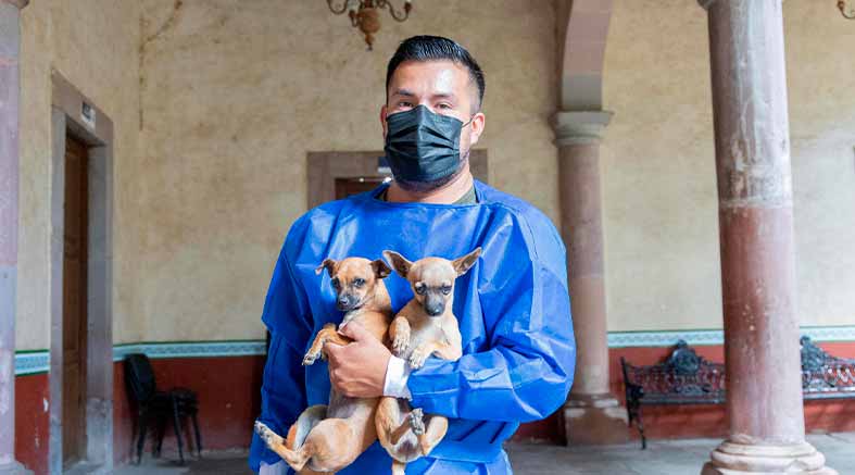 Esteriliza