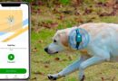 PetPhone