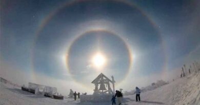 Halo solar